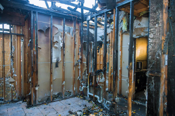 Professional Structural Rebuild technician working in Lester Prairie, MN